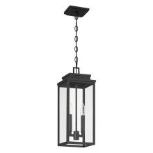 Thesis 207746A - 2L Exterior Pendant Light