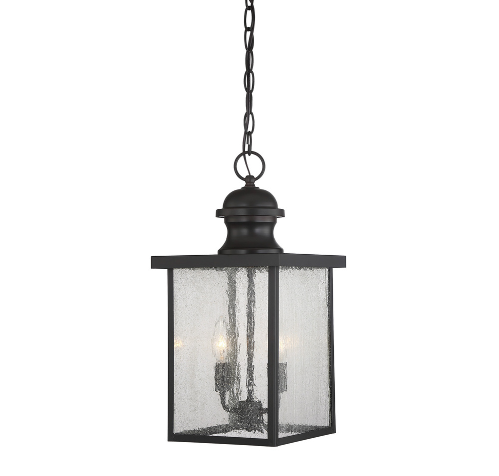Newberry 2-Light Outdoor Hanging Lantern in English Bronze
