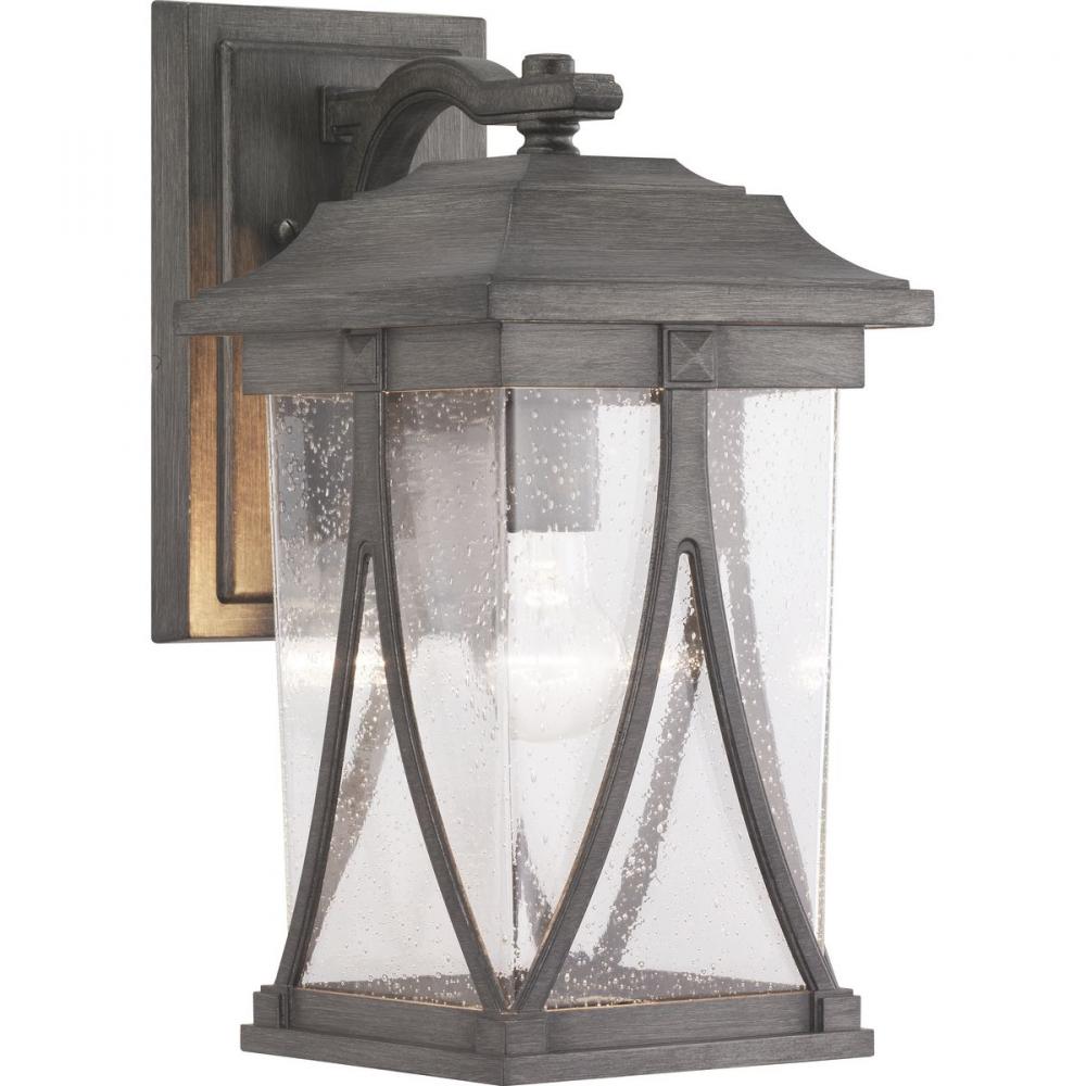 Abbott Collection One-Light Medium Wall Lantern