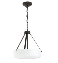 Progress P500507-020 - P500507-020 2-L PENDANT CONV.