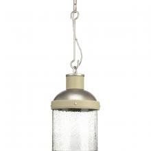 Progress P500202-081 - POINT DUMEÂ® by Jeffrey Alan Marks for Progress Lighting Rockdance Collection Antique Nickel Pendant