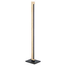 Eglo 99296A - LED Floor Lamp