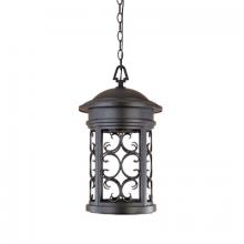 Designers Fountain 31134-ORB - Ellington 19" 1-Light Outdoor Hanging Lantern
