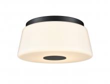 DVI DVP48542EB-TO - ROBSON HALL 13" FLUSHMOUNT