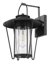 Acclaim Lighting 1020BK - 16.75 in. 1-Light Matte Black Outdoor Wall Lantern With Seeded Cylinder Glass