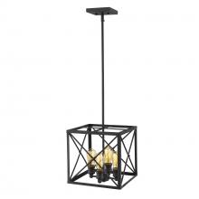 Acclaim Lighting IN21121BK - Brooklyn 4-Light Matte Black Pendant With Metal Framework Shade