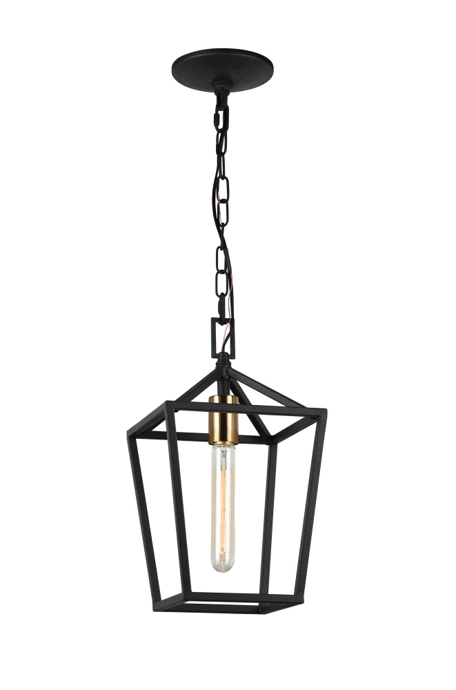Scatola Rusty Black and Aged Gold Brass Accents Pendant