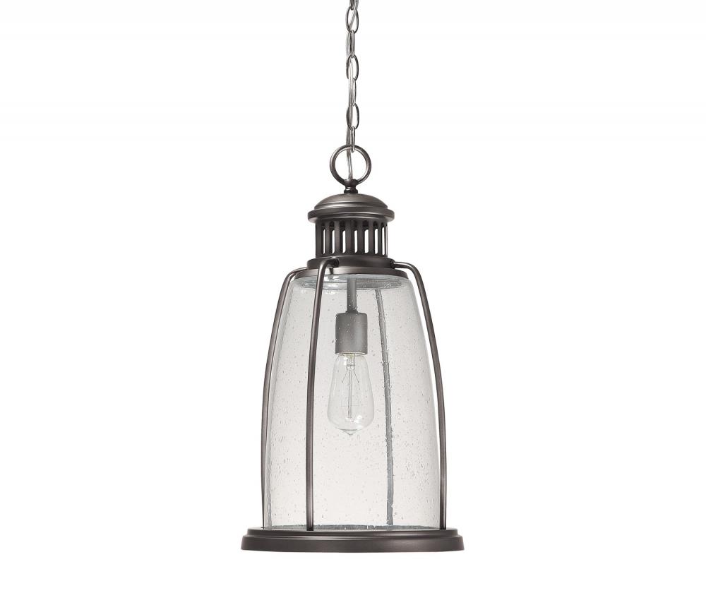 1 Light Hanging Lantern