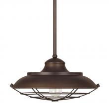 Capital 4568BB - 1 Light Outdoor Hanging Lantern