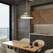 Capital 9D329A - 1-Light Metal Pendant
