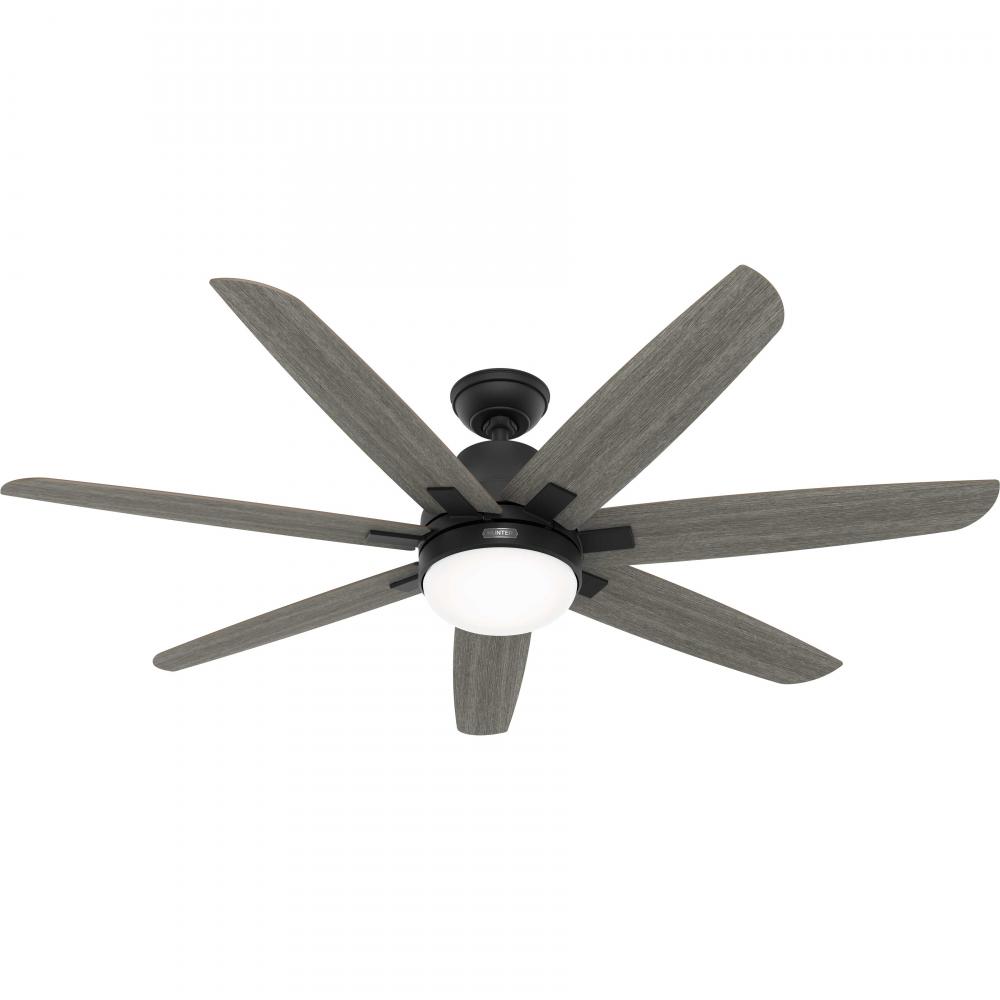 Hunter 60 inch Wilder Matte Black Ceiling Fan with LED Light Kit and Wall Control