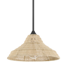Hunter 48081 - Hunter Agoura Matte Black 1 Light Medium Pendant Ceiling Light Fixture