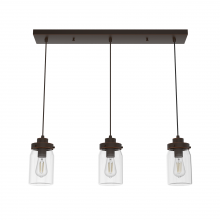 Hunter 19155 - Hunter Devon Park Onyx Bengal with Clear Glass 3 Light Pendant Cluster Ceiling Light Fixture