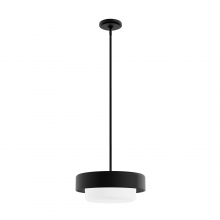 Hunter 19271 - Hunter Station Natural Black Iron with Frosted Cased White Glass 2 Light Pendant Ceiling Light