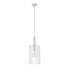 Hunter 19790 - Hunter Gatz Brushed Nickel with Clear Glass 1 Light Pendant Ceiling Light Fixture