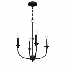 Hunter 19638 - Hunter Southcrest Flat Matte Black 4 Light Chandelier Ceiling Light Fixture