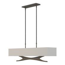 Hubbardton Forge 137655-SKT-STND-20-SJ4298 - Moreau Pendant