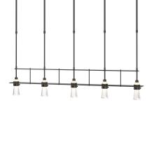 Hubbardton Forge 137725-SKT-SHRT-14-ZM0343 - Erlenmeyer 5 Light Pendant