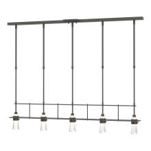 Hubbardton Forge 137725-SKT-STND-20-ZM0343 - Erlenmeyer 5 Light Pendant