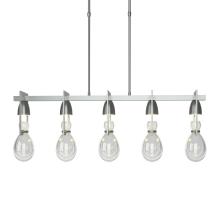 Hubbardton Forge 137810-SKT-LONG-82-ZM0572 - Apothecary Pendant