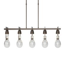 Hubbardton Forge 137810-SKT-SHRT-05-ZM0572 - Apothecary Pendant