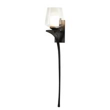 Hubbardton Forge 204712-SKT-RGT-07-ZU0291 - Antasia Double Glass 1 Light Sconce