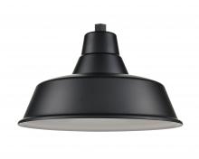 Millennium RCLWS17-SB - R Series Lighting Shade