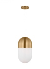 Visual Comfort & Co. Studio Collection DJP1141SB - Foster Medium Pendant