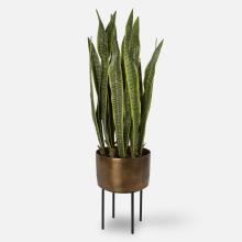 Uttermost 60185 - Uttermost Fasita Brass Planter 2 Cartons