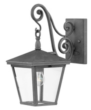 Hinkley 1430DZ - Medium Wall Mount Lantern