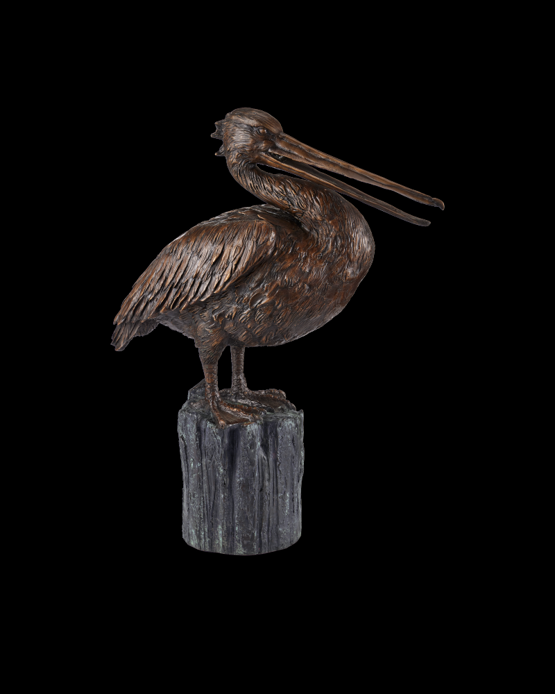 Pelican Bronze